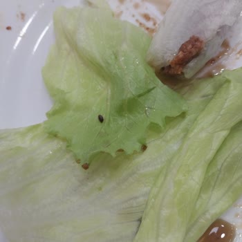 Hijyen Sorunu: Komagene Şubesinde Böcekli Marul