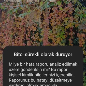 Bitci Uygulamasına Erişim Sorunu: Hayal Kırıklığı