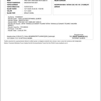 Bitay Borsası'nda Para Yatırma Ve Çekme Sorunları