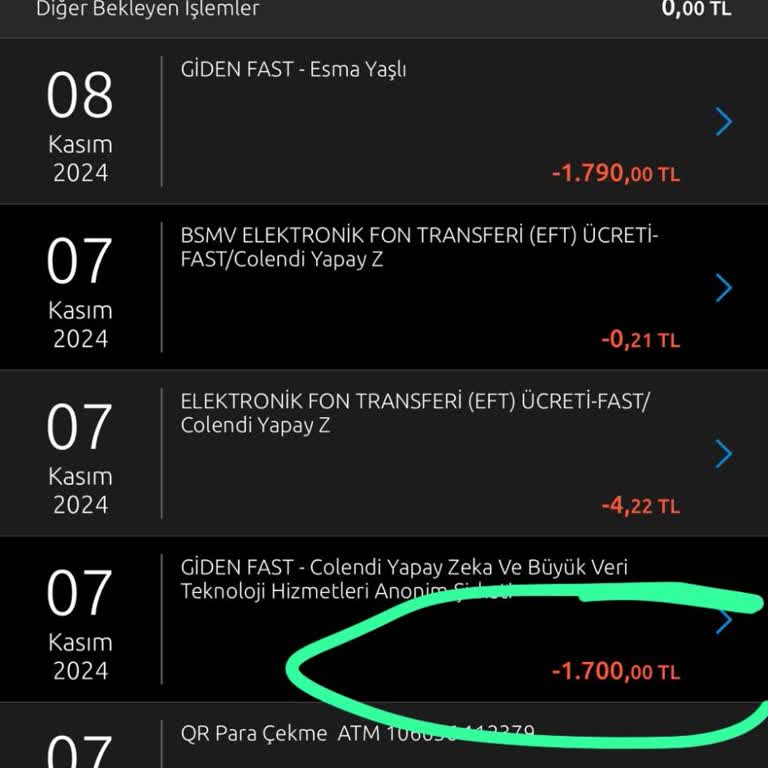 Para Transferi Sorunu: MoneyPay Hesabına Ulaşmayan EFT