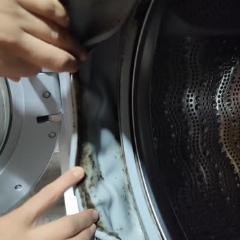 Bosch Çamaşır Makinesi Küf Sorunu Ve Hayal Kırıklığı