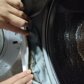 Bosch Çamaşır Makinesi Küf Sorunu Ve Hayal Kırıklığı