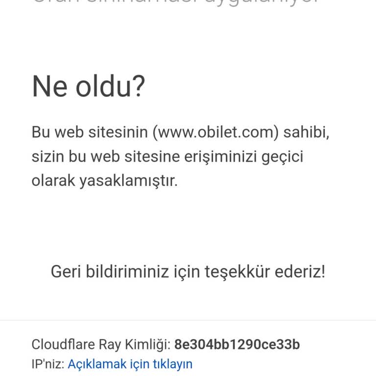 Erişim Engeli Ve Bilgilendirme Eksikliği Nedeniyle Bilet Sorunu