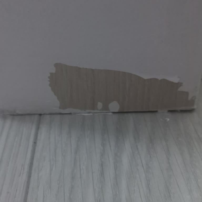 Bianca Stella Boyası İle Hayal Kırıklığı