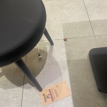 Tavuk Dünyası'nda Paranla Rezil Olmak