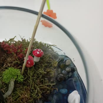 ÇiçekSepeti Küflü Ve Sinek Dolu Teraryum Şoku