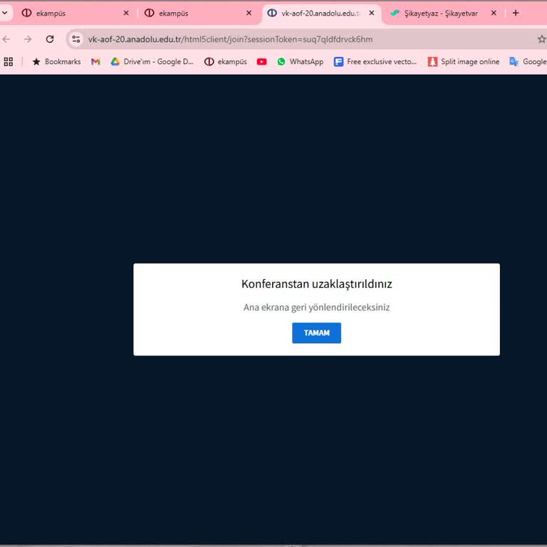 Canlı Derse Erişim Sorunu: Sürekli Uzaklaştırılma Problemi