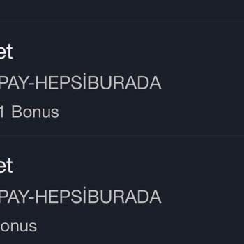 Bonus Puanlarım Neden Geri Yatırılmadı?