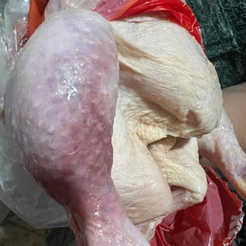 Tarihi Geçmiş Ürün Etiketi Sorunu