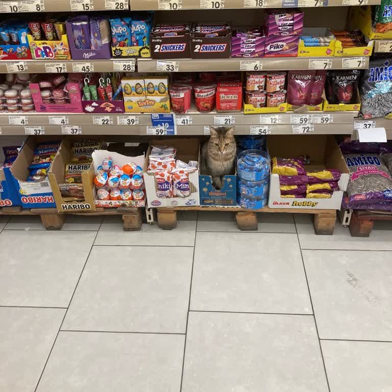 Market Ürünlerinde Hijyen Sorunu