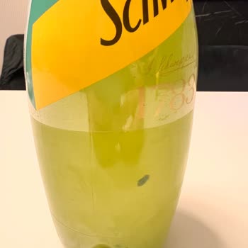 Schweppes İçecekte Yeşil Çöküntü: Sağlığımız Tehlikede Mi