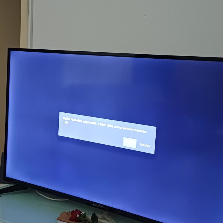Awox TV'de Netflix Sorunu Çözülmüyor