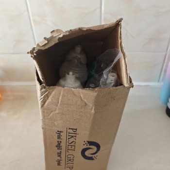 Yanlış Ürün Ve Kötü Paketleme Sorunu