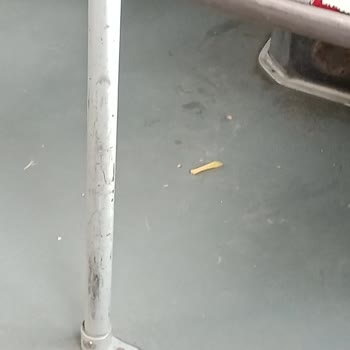 Konya Büyükşehir Belediyesi Edolum Kart Ve Otobüsler