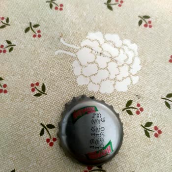 Frenk Üzümlü Maden Suyunda Çürümüş Meyve Tadı
