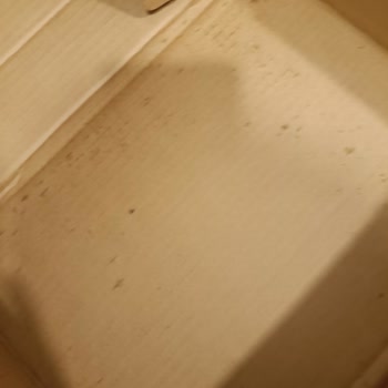 Kahve Dünyası'nda Kötü Paketleme Ve Müşteri Memnuniyetsizliği