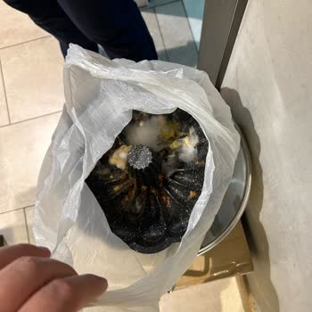 Karaca Kek Kalıbı Sorunu Ve İlgisiz Mağaza Deneyimi