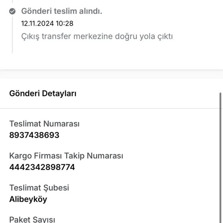 Kayıp Kargo: Aras Kargo Teslimat Sorunu