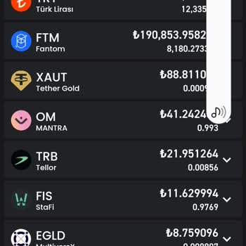 Bitay Kripto Borsasında Uzun Süreli Transfer Sorunu Ve İletişimsizlik