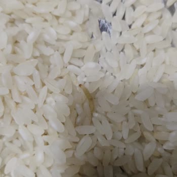 Pirinç Paketlerinden Çıkan Kurtlar Güvenimi Sarstı