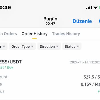 Binance'te Görünmeyen Chess Coin Sorunu