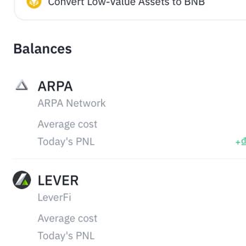 Binance'te Görünmeyen Chess Coin Sorunu