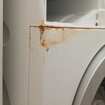 Bosch Çamaşır Makinesi: Paslanma Ve Müşteri Hizmetleri Sorunu