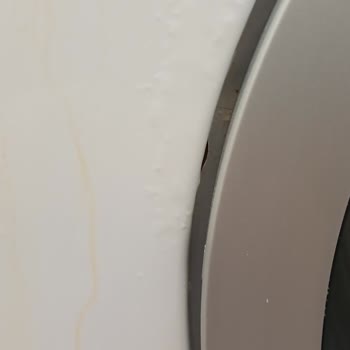 Bosch Çamaşır Makinesi: Paslanma Ve Müşteri Hizmetleri Sorunu