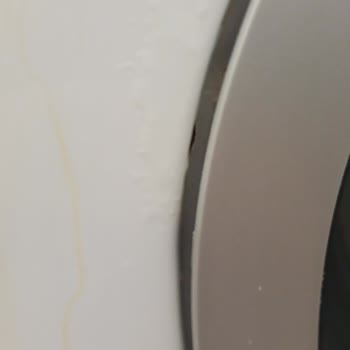 Bosch Çamaşır Makinesi: Paslanma Ve Müşteri Hizmetleri Sorunu