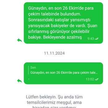 Vallet'te Sürekli Bakiye Kaybı Ve Teknik Sorunlar