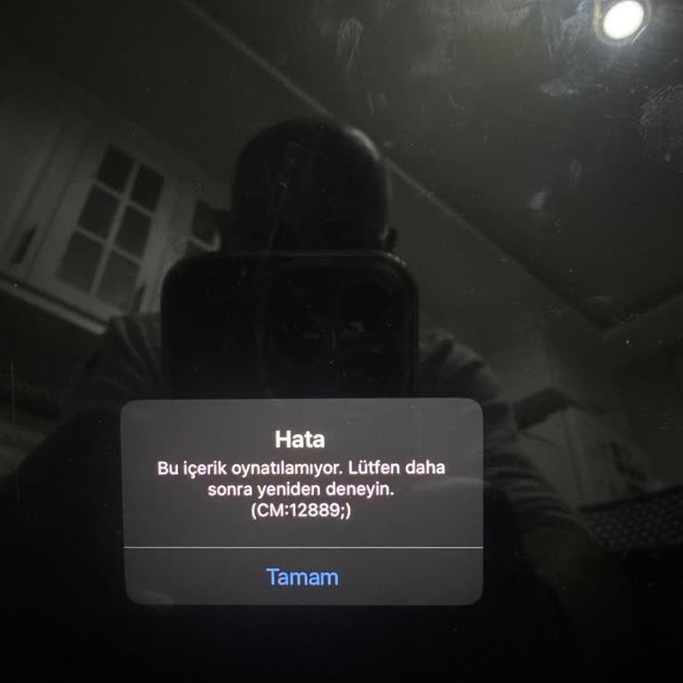 Netflix Bağlantı Sorunu Ve Hayal Kırıklığı