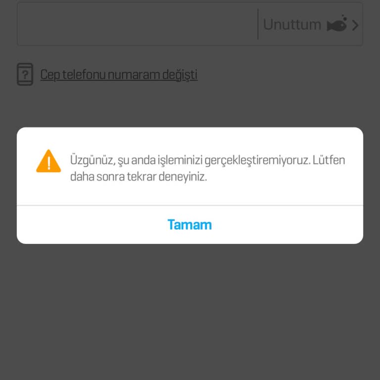 Para Transferinde Yaşanan Sorun Ve Acil Yardım Talebi