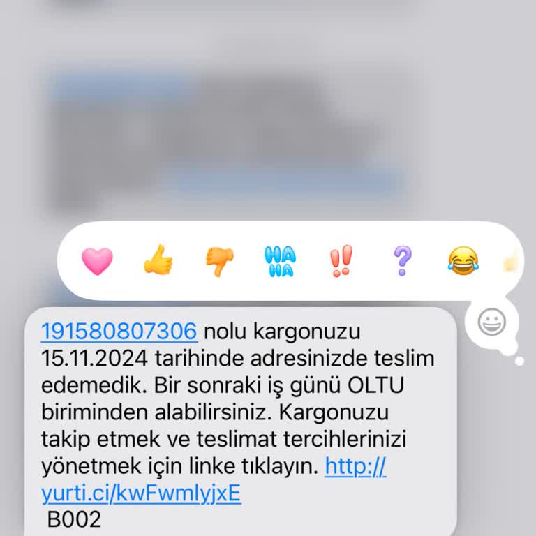 Yanlış Yönlendirilmiş Kargo