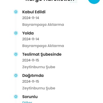 Express Teslimatın Gecikmesi Ve Kaybolan Siparişler
