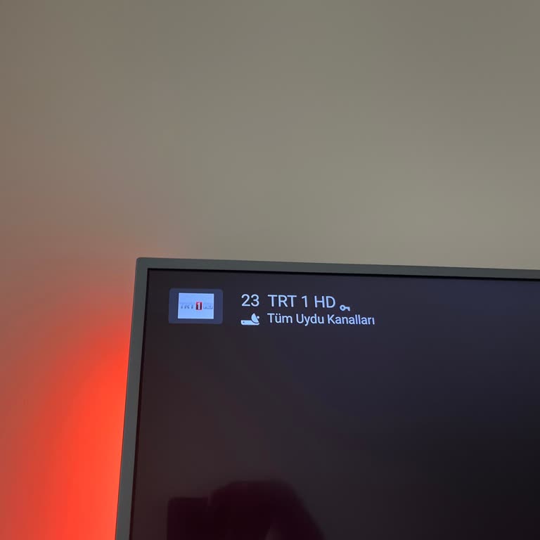 Philips TV'de Kanal Silme Ve TRT 1 Şifre Sorunu