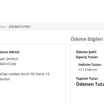 N11 Üzerinden Alınan Ürünün Teslim Edilmemesi Ve Müşteri Hizmetleri Sorunu
