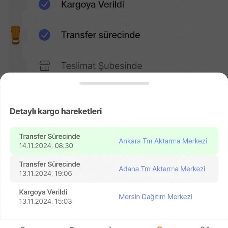 Teslimat Tarihi Geçen Kargo: Ankara TM Aktarma Merkezinde Bekleyen Sipariş