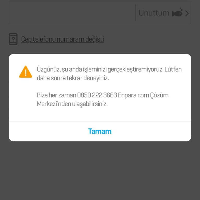 Enpara Mobil Ve İnternet Şube Erişim Sorunu