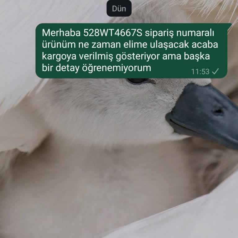 Siparişim Neden Hala Ulaşmadı?