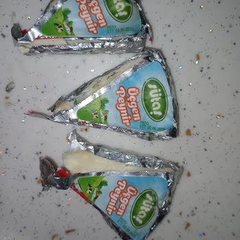 Küflenen Peynir Ve İlgisiz Müşteri Hizmetleri