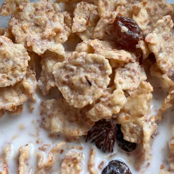 Nestle Nesfit Gevrek Paketinden Böcek Çıktı!