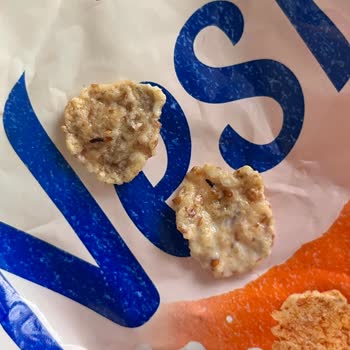 Nestle Nesfit Gevrek Paketinden Böcek Çıktı!