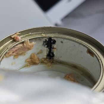 Dardanel Ton Ürünü: Oksitlenme Ve Yetersiz Müşteri Hizmeti