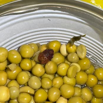 Böcekli Bezelye Konservesi Sağlığımızı Tehdit Ediyor