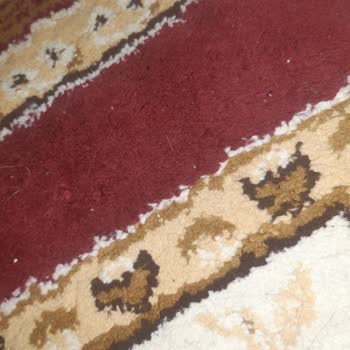 Halı Temizliğinde Hayal Kırıklığı: Beklentiler Karşılanmadı