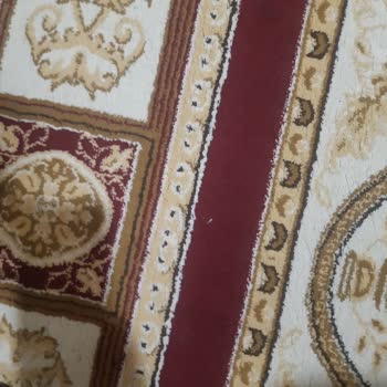 Halı Temizliğinde Hayal Kırıklığı: Beklentiler Karşılanmadı