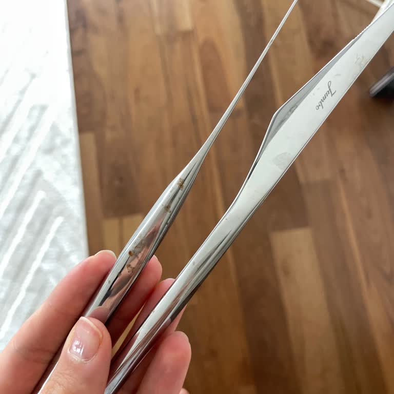 Paslanan Çatal Bıçak Ve Fatura Sorunu