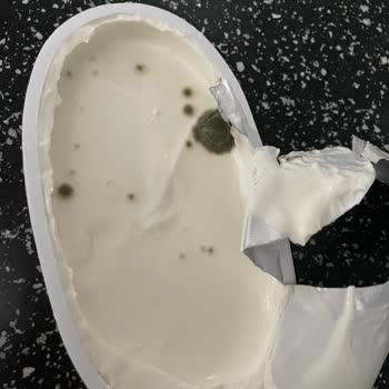 Onur Market Delinmiş Küflü Peynir