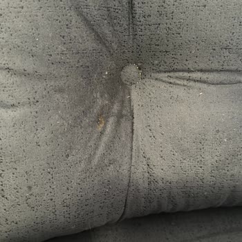 Almanya'ya Gönderilen Eşyalar Kuş Pislikleri İçinde Geldi!