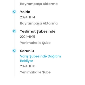 Kargo Gecikmesi Ve İletişim Sorunlarıyla Zara Hayal Kırıklığı